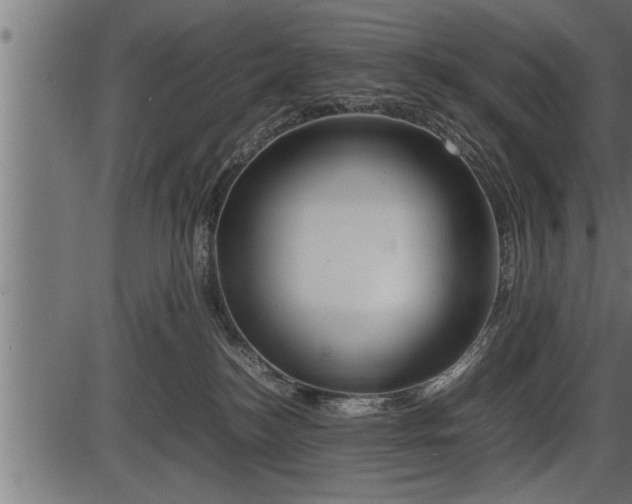 X0000086290184200704091005