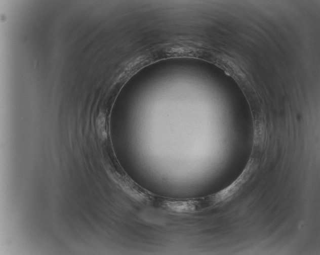 X0000086290187200704091005