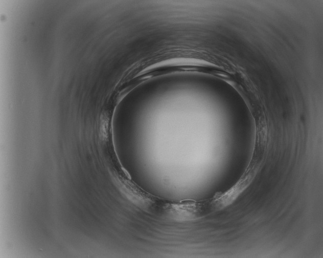 X0000086290188200704091005