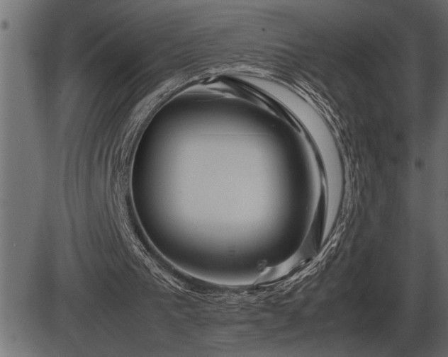 X0000086290193200704091004