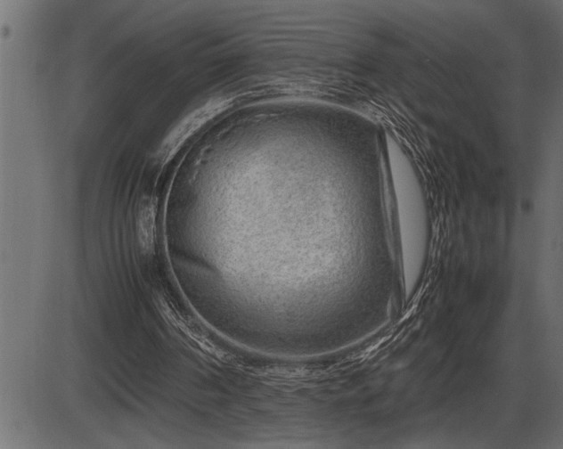 X0000086290194200704091004