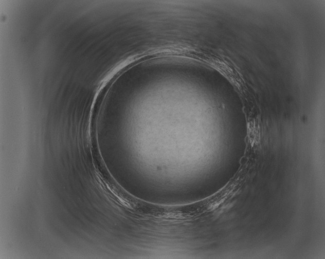 X0000086290196200704091004
