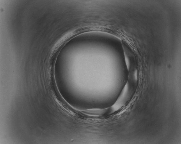 X0000086290197200704091004