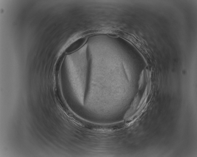 X0000086290198200704091004