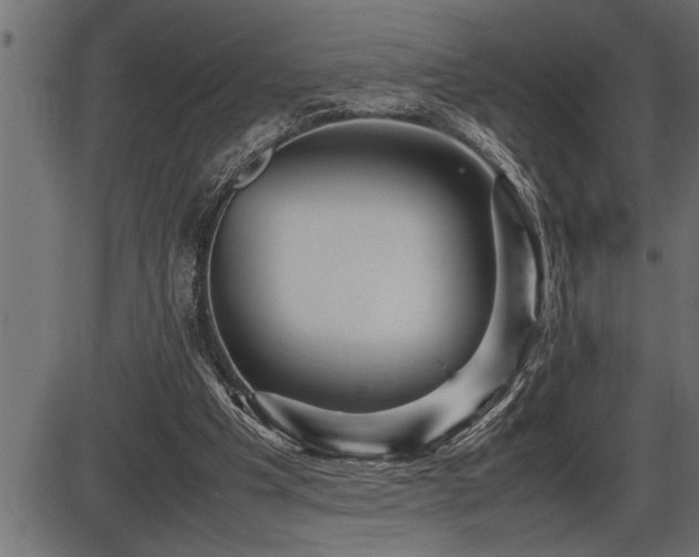 X0000086290201200704091004
