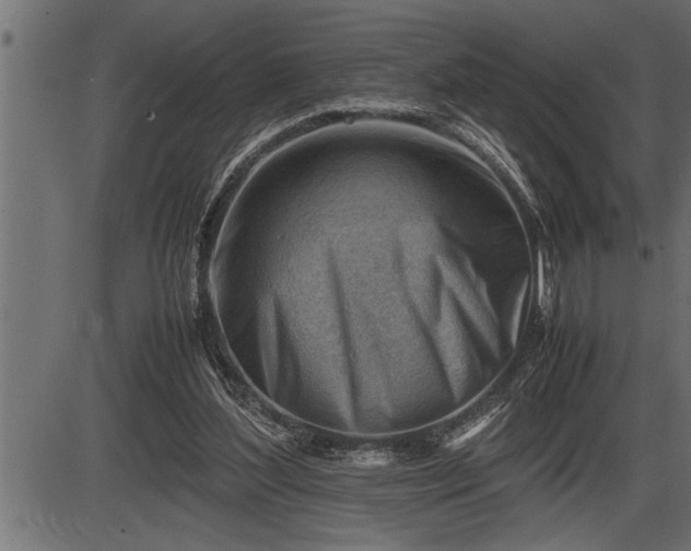 X0000086290204200704091004