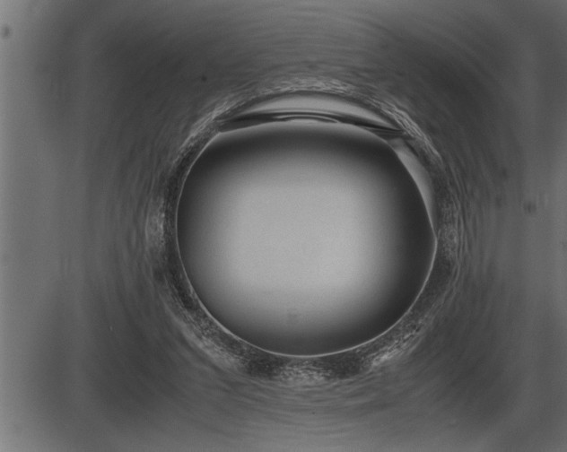 X0000086290207200704091004