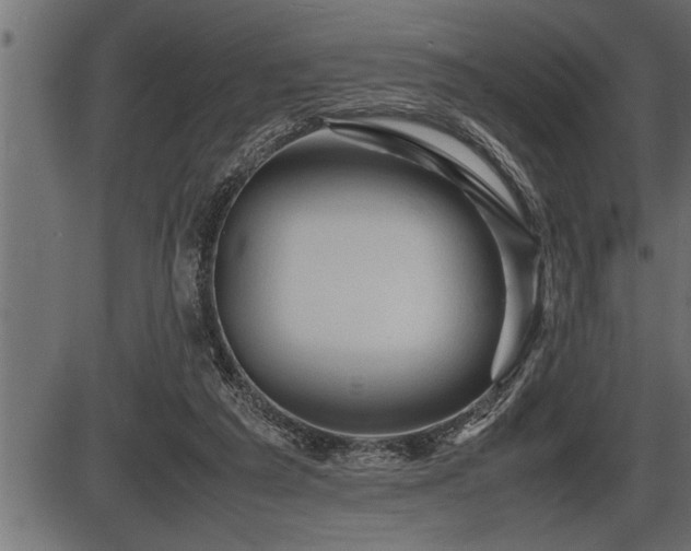 X0000086290209200704091004