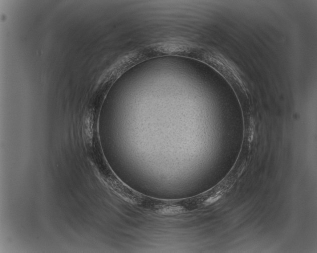 X0000086290210200704091004