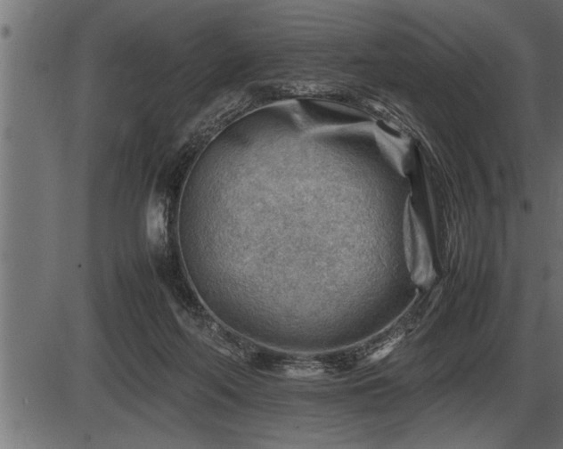 X0000086290214200704091004