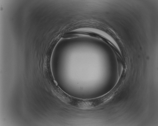 X0000086290217200704091004