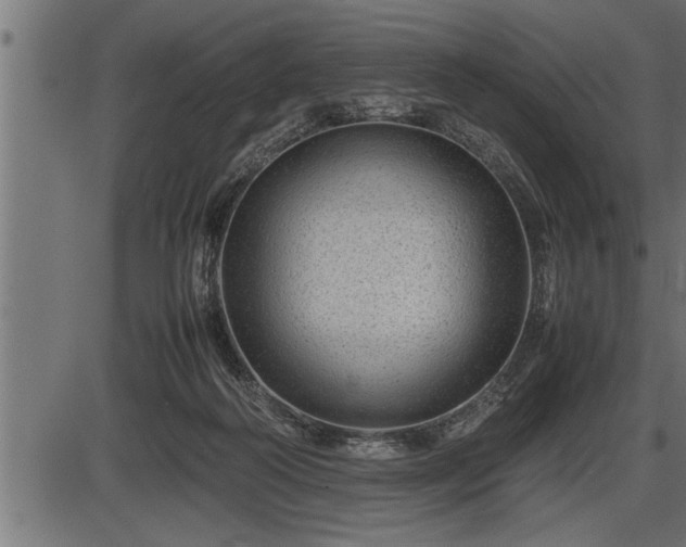 X0000086290218200704091004