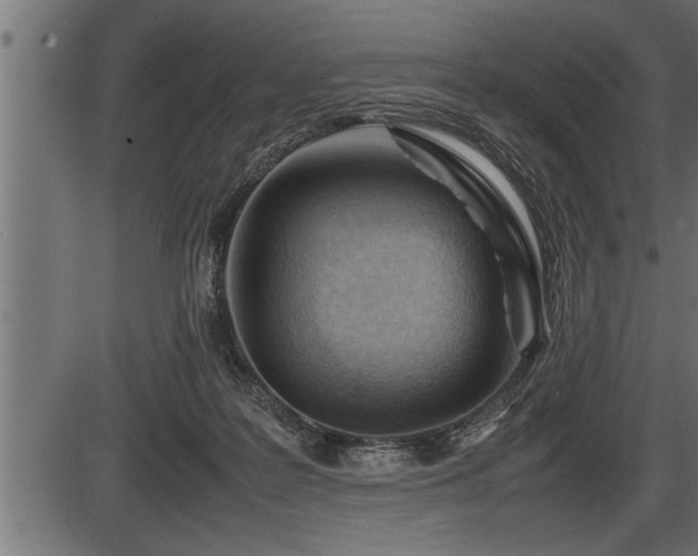 X0000086290219200704091004