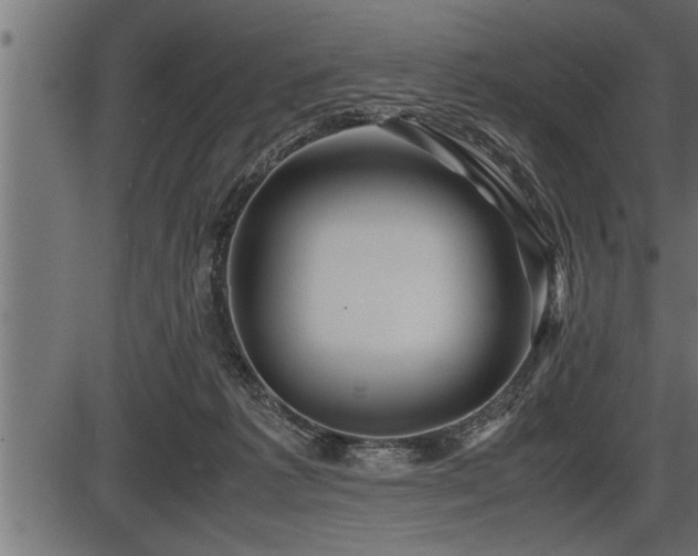 X0000086290221200704091004