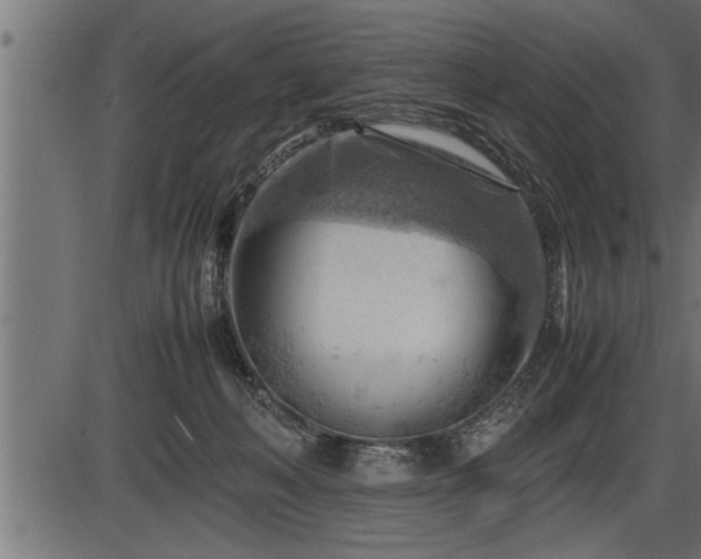 X0000086290222200704091004