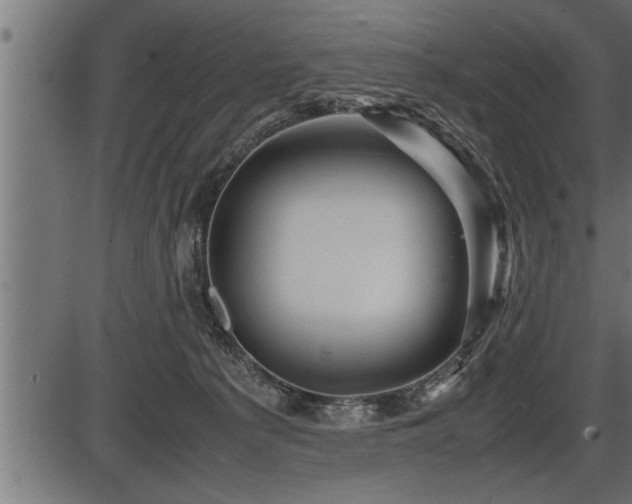X0000086290225200704091004