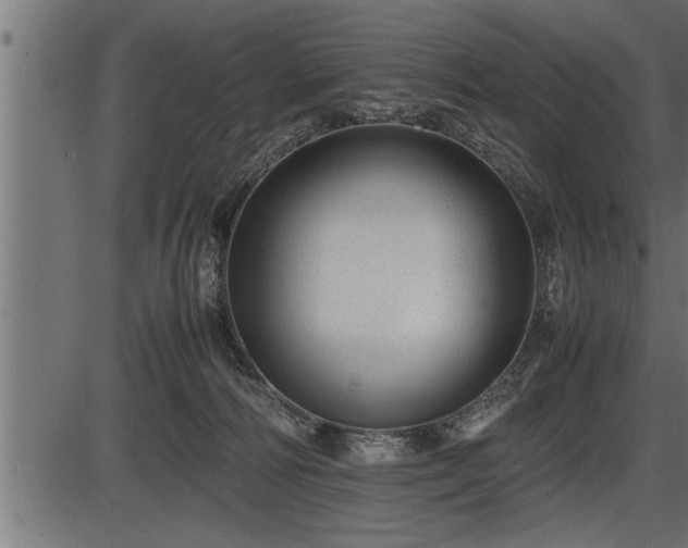 X0000086290226200704091004