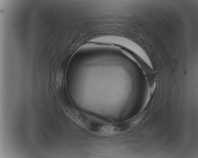 X0000086290227200704091004