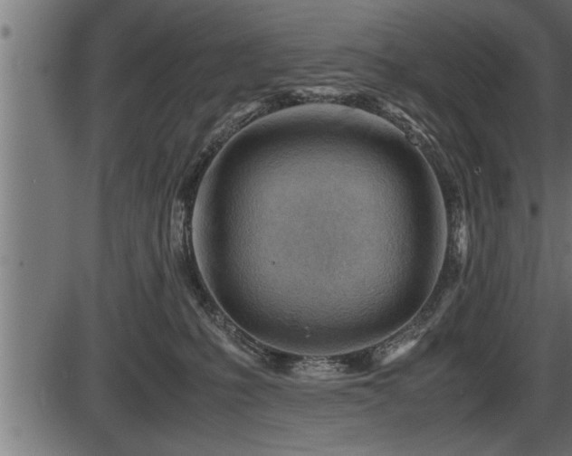 X0000086290231200704091004