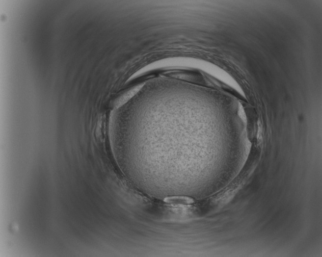 X0000086290233200704091004