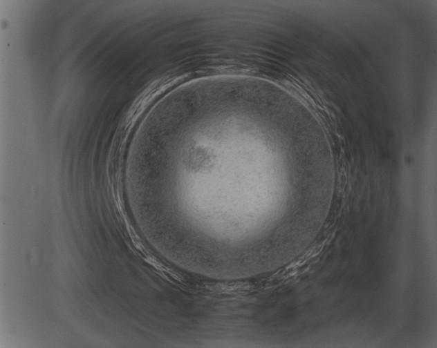 X0000086290241200704091003