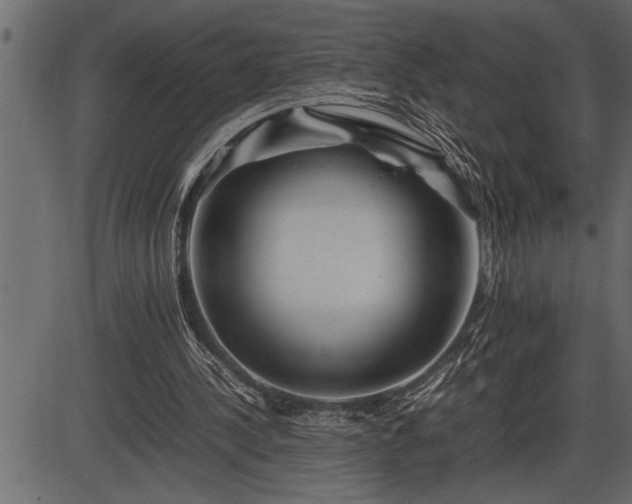 X0000086290244200704091003