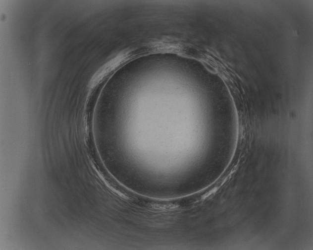 X0000086290245200704091003