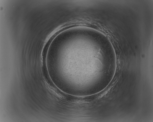 X0000086290246200704091003