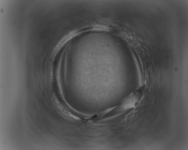 X0000086290247200704091003