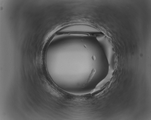 X0000086290248200704091003