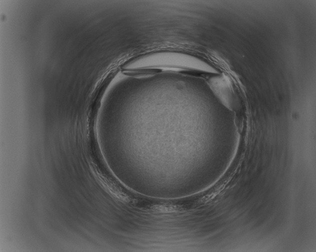 X0000086290250200704091003