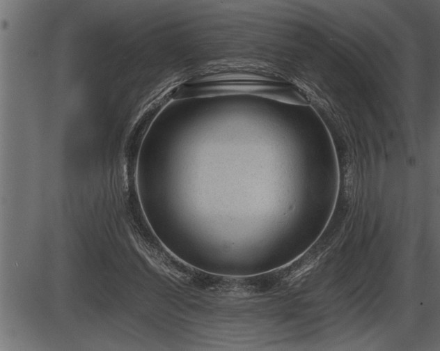 X0000086290254200704091003
