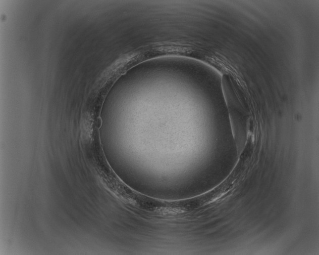 X0000086290255200704091003