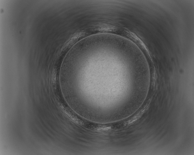 X0000086290257200704091003