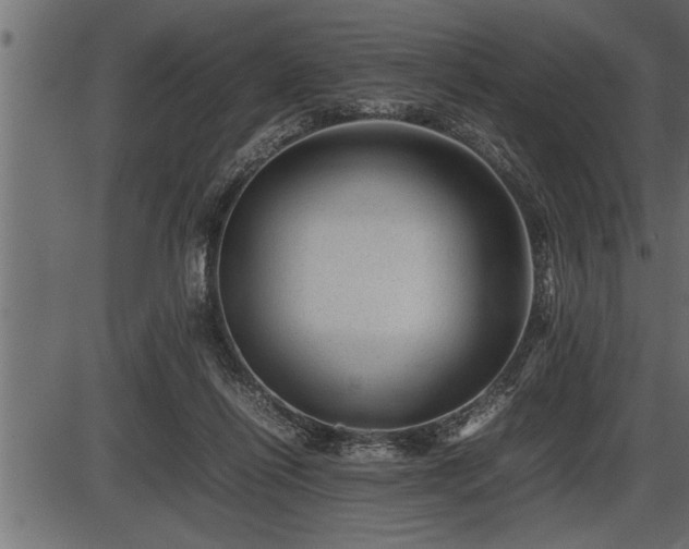 X0000086290262200704091003
