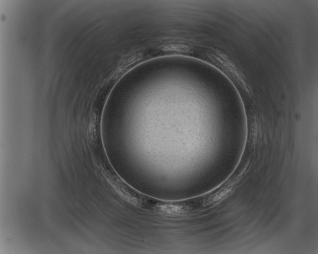 X0000086290265200704091003