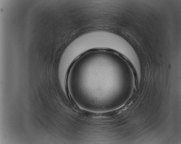 X0000086290268200704091003