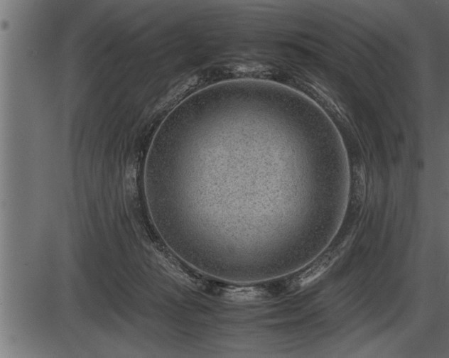X0000086290269200704091003