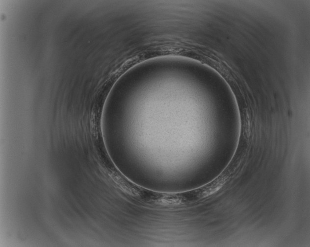 X0000086290270200704091003