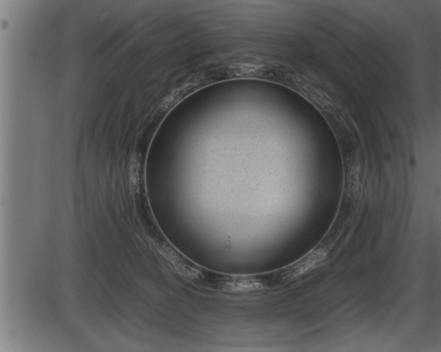 X0000086290274200704091003