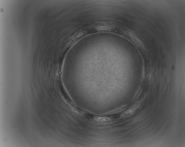 X0000086290277200704091003