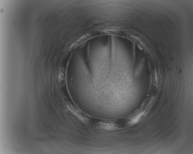 X0000086290284200704091003