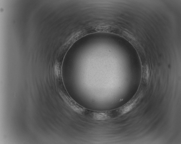 X0000086290287200704091003