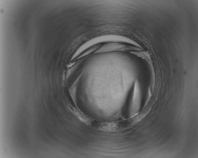 X0000086290288200704091003