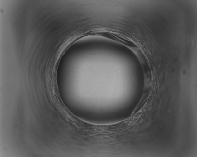 X0000086290289200704091003