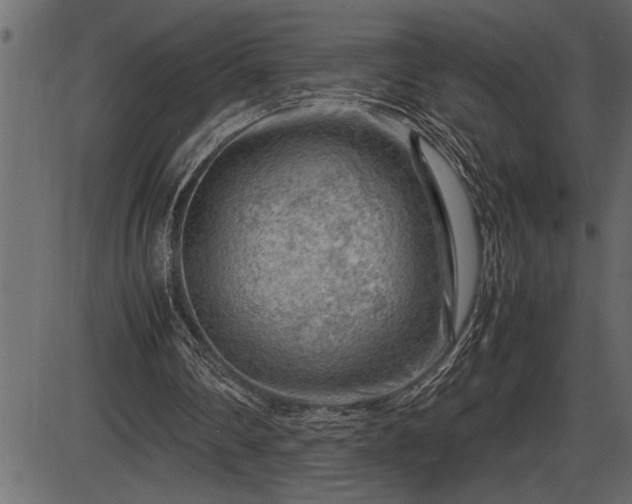 X0000086290290200704091003