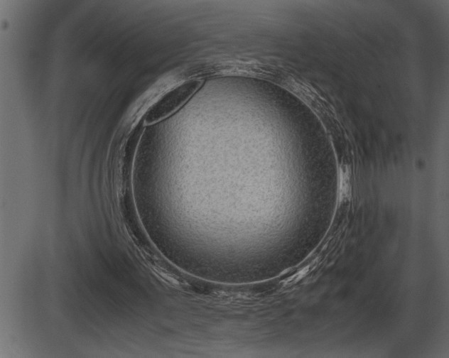 X0000086290291200704091003