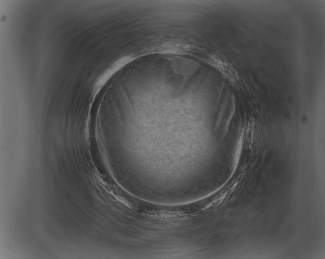 X0000086290292200704091003