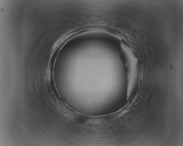 X0000086290294200704091003