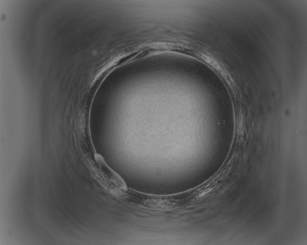 X0000086290297200704091002